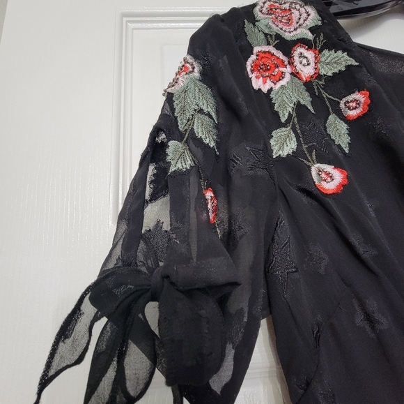 Super cute Topshop dress.  Black,  sheer  with rose embroidered embellishments. - Picture 3 of 10